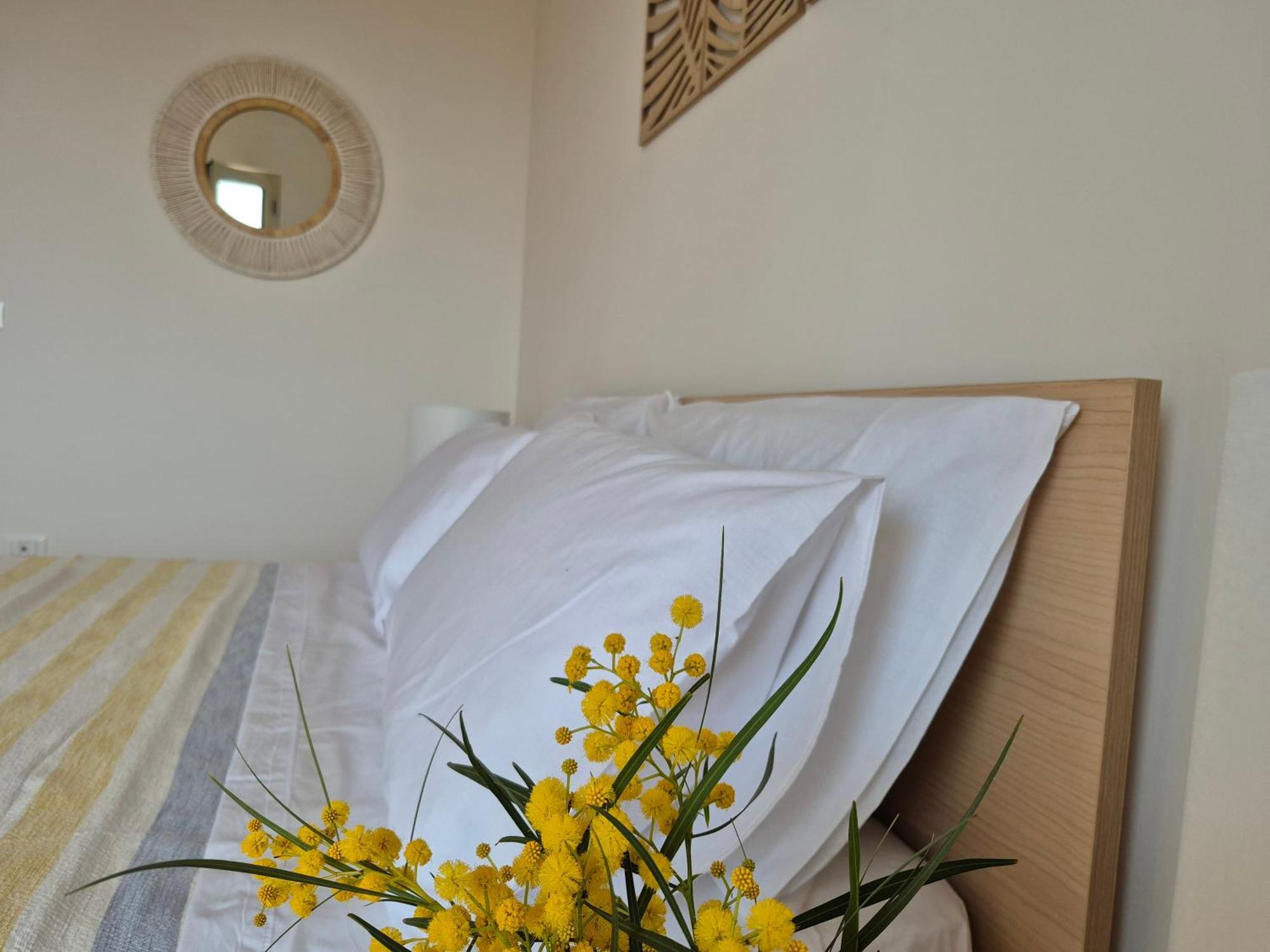 Appartamento Casa Vacanze-halivita