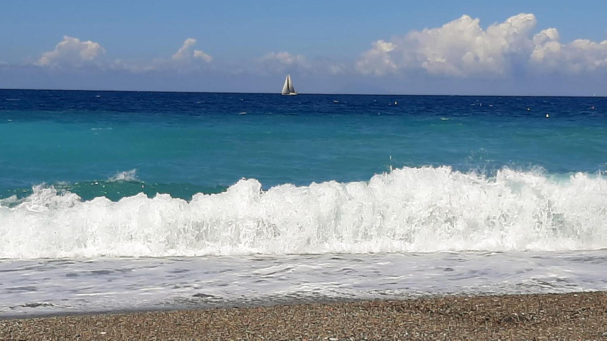 Casa Vacanze-halivita Piraino
